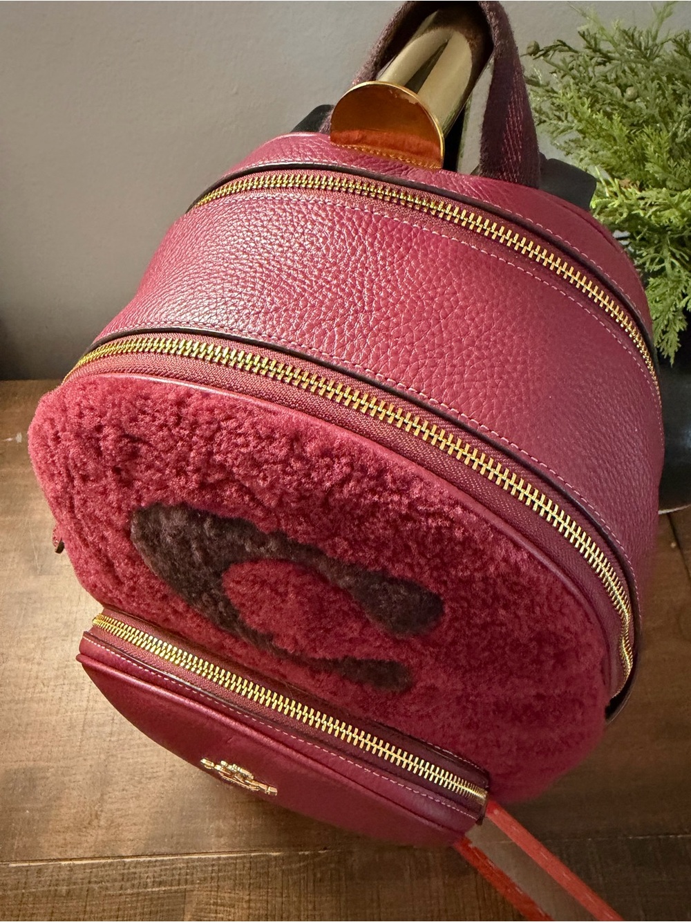 Coach Shearling Court Backpack - Picture 4 of 14